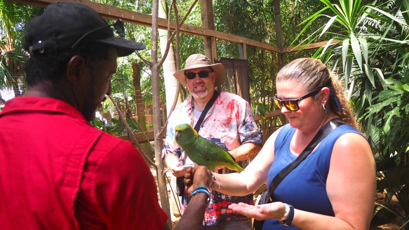 Visitantes conociendo un loro verde en un jardín tropical