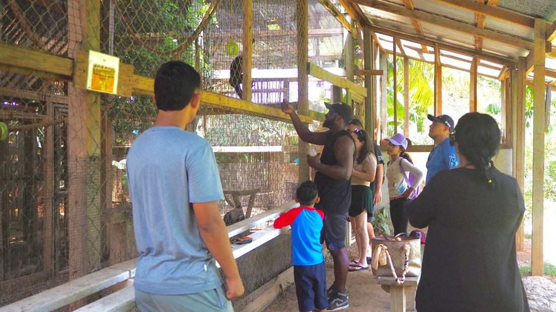 Visitantes conociendo y observando animales de cerca